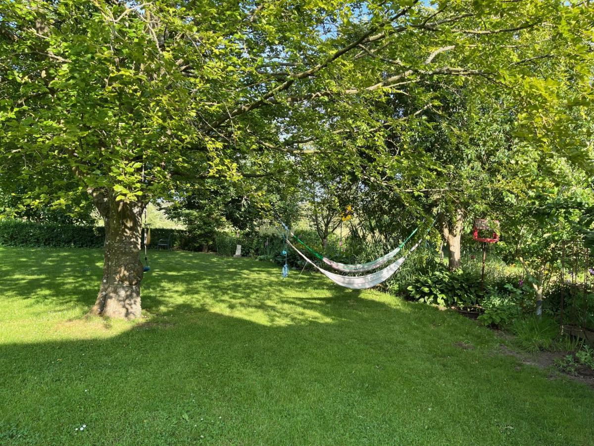 Fuglsang Bed & Breakfast Hjorring Exterior photo